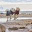 Hurtta Mudventure Coat ECO Blackberry