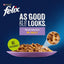 Felix As Good As It Looks Favourites 40X100G - Ormskirk Pets