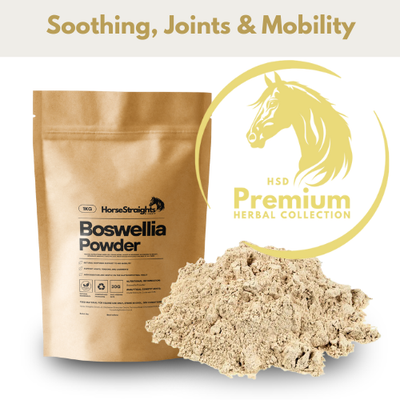 Horse Straights Direct Boswellia Powder 1kg