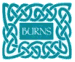 Burns