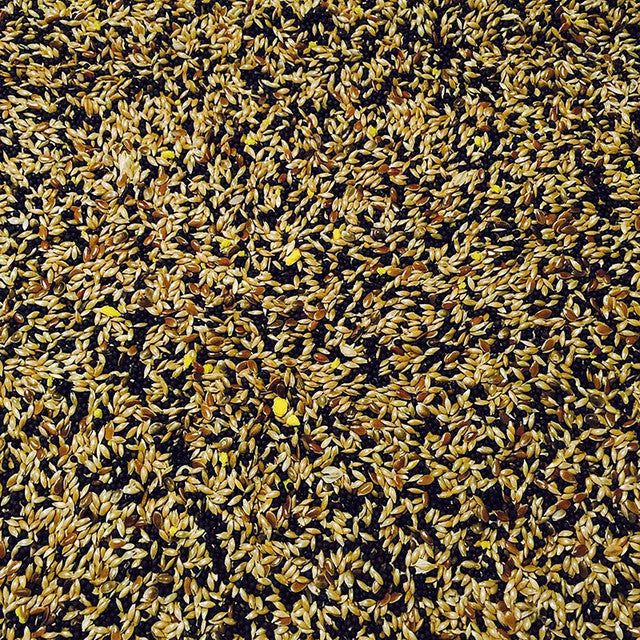 Bucktons No1 Mixed Canary Food 2Kg