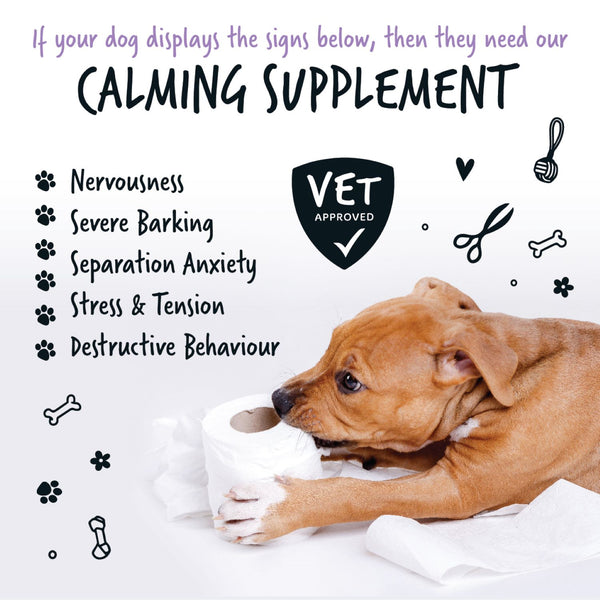 Bugalugs Calming Powder 80g