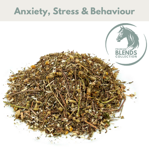 Horse Straights Direct Calming Blend 750gm