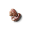 Nutriment Chicken Hearts Frozen Bones 200g