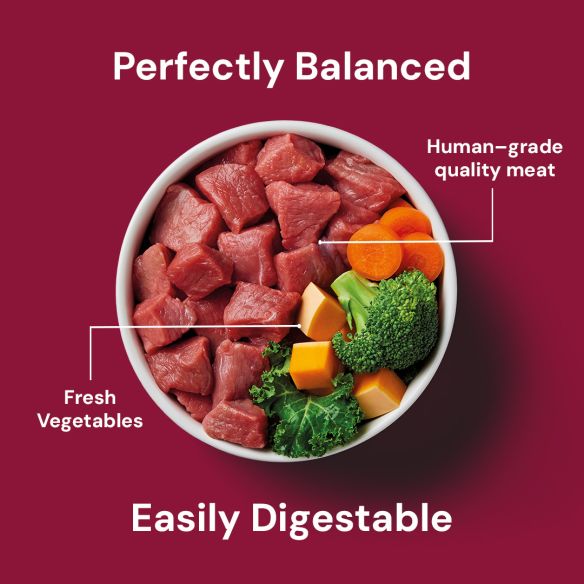 Nutriment Dog Adult Beef Formula 500g