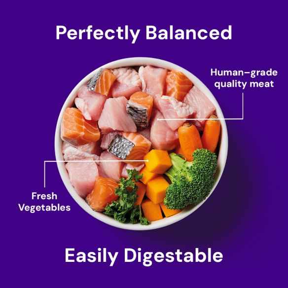 Nutriment Dog Adult Salmon with Turkey Formula 500g