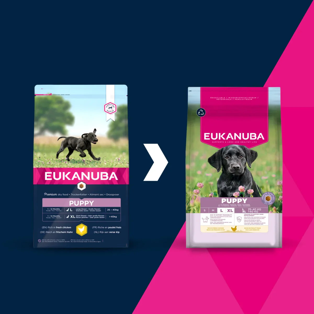 Eukanuba Puppy Large Breed Chicken 3Kg