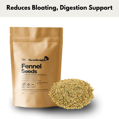 Horse Straights Direct Fennel Seeds 1kg