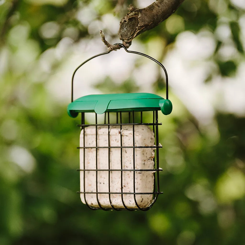 Gardman Flip Top Suet Feast Feeder