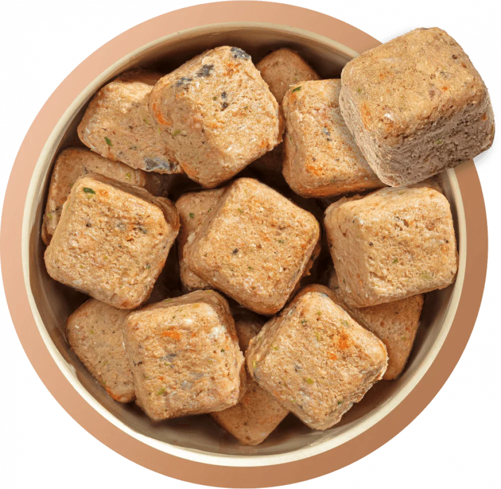 Natures Menu Country Hunter 80/20 Salmon and Chicken Nuggets with Superfoods 1kg - Ormskirk Pets