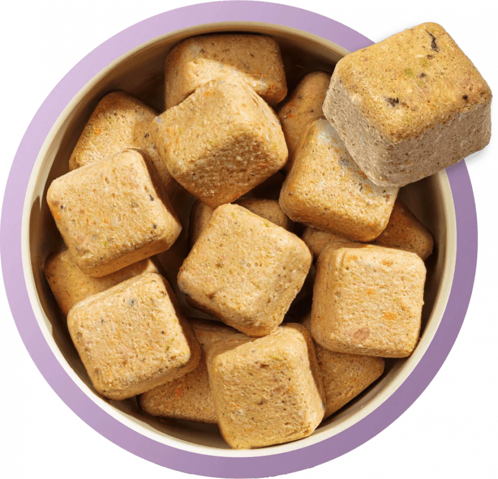 Natures Menu 80/20 Puppy Turkey and Fish Nuggets with Vegetables 1kg - Ormskirk Pets