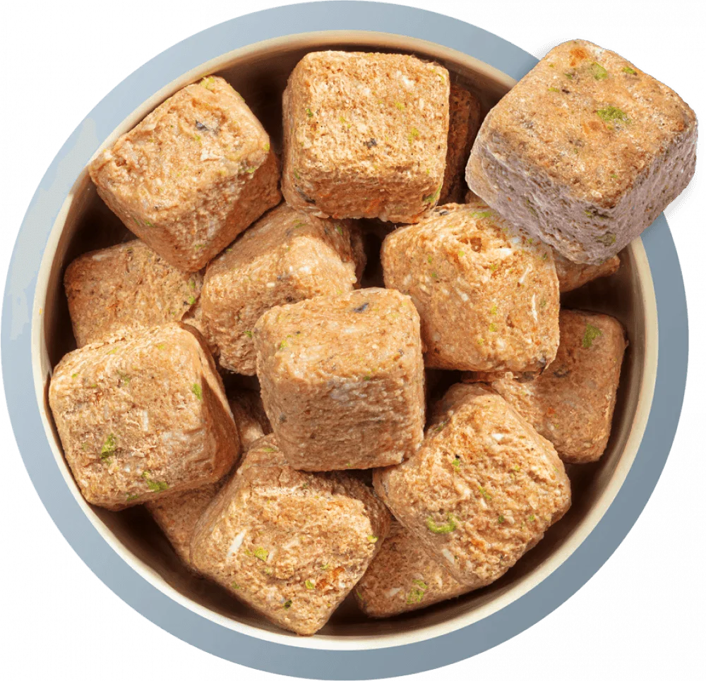 Natures Menu 60/40 Fish and Chicken, Vegetables and Brown Rice 1KG For Adult Dogs - Ormskirk Pets