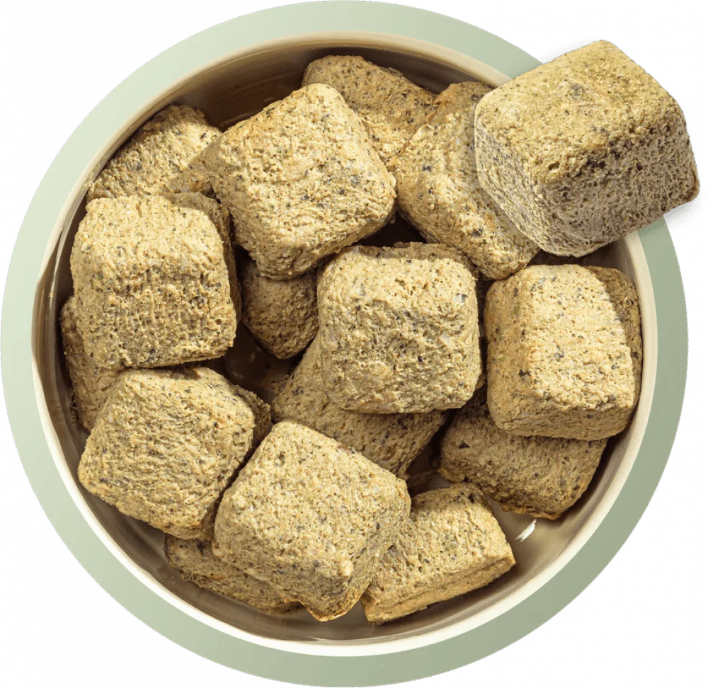 Natures Menu Country Hunter 80/20 British Lamb with Superfoods 1kg - Ormskirk Pets