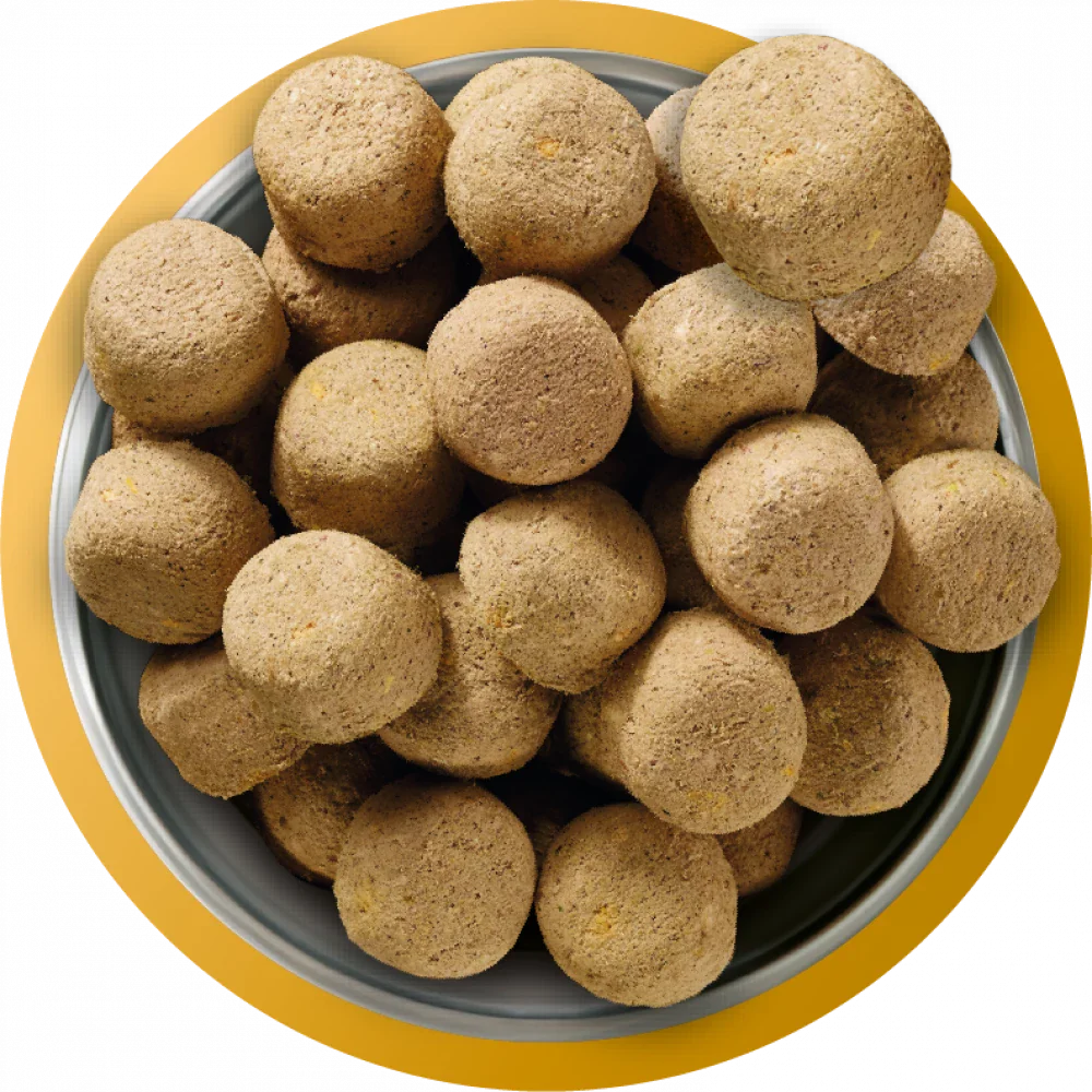 Natures Menu 80/20 Chicken Freeze Dried 625g