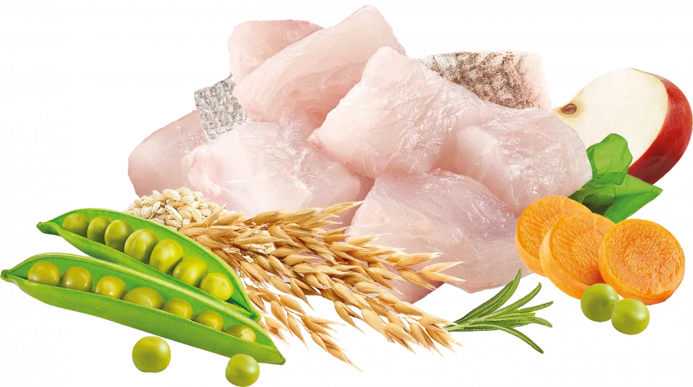 Natures Menu High In Meat Dry Cat Food No Grain With White Fish 1.25kg