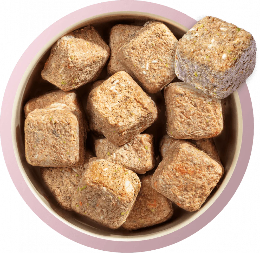 Natures Menu 60/40 Tripe, Chicken Heart, Liver, Salmon, Vegetables and Brown Rice 1KG For Adult Dogs - Ormskirk Pets