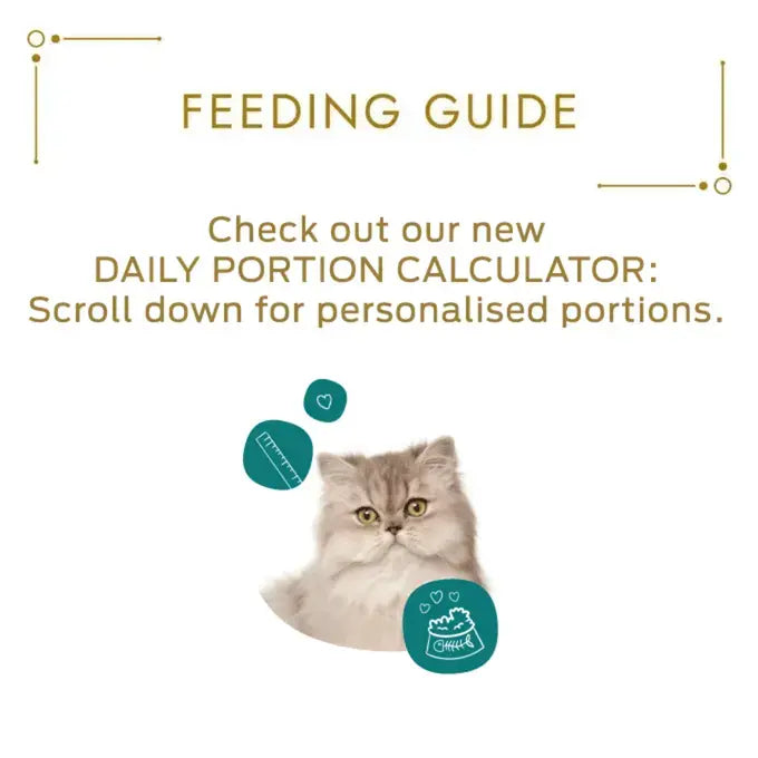Gourmet Revelations Gelee Chicken Fine Cuts in Jelly Wet Cat Food 4x57g