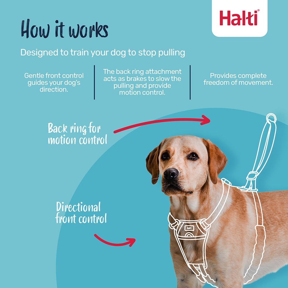 Company Of Animals Halti No Pull Harness Black X Small