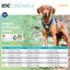 Julius-K9 Longwalk Dog Harness Crazy