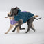 GF Pet Elasto-Fit Nordic Parka with InFiber Dark Teal