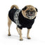 GF Pet Fuzzy Sweater Black