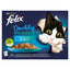 Felix Doubly Delicious Fish Selection In Jelly 12 X 85G
