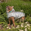GF Pet Elasto-Fit Reversible Raincoat Neon Aqua Iridescent