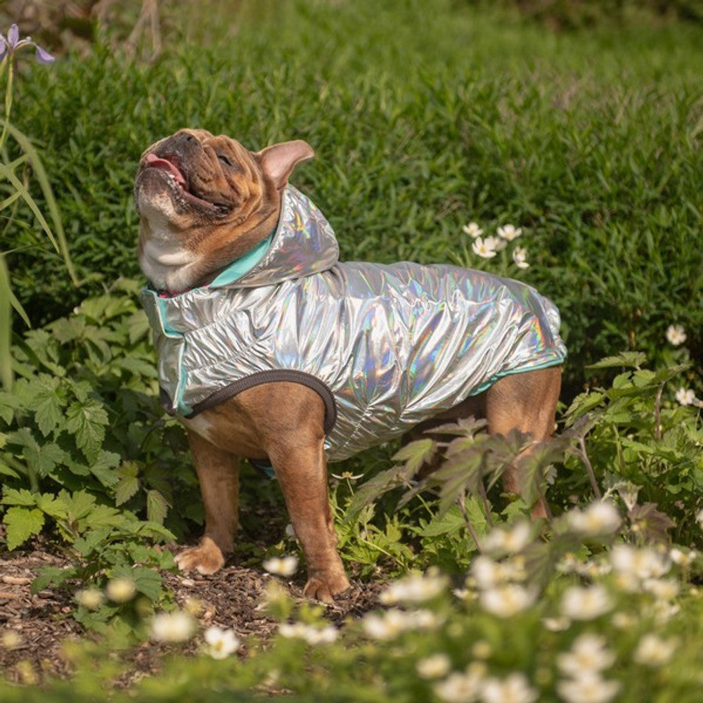 GF Pet Elasto-Fit Reversible Raincoat Neon Aqua Iridescent