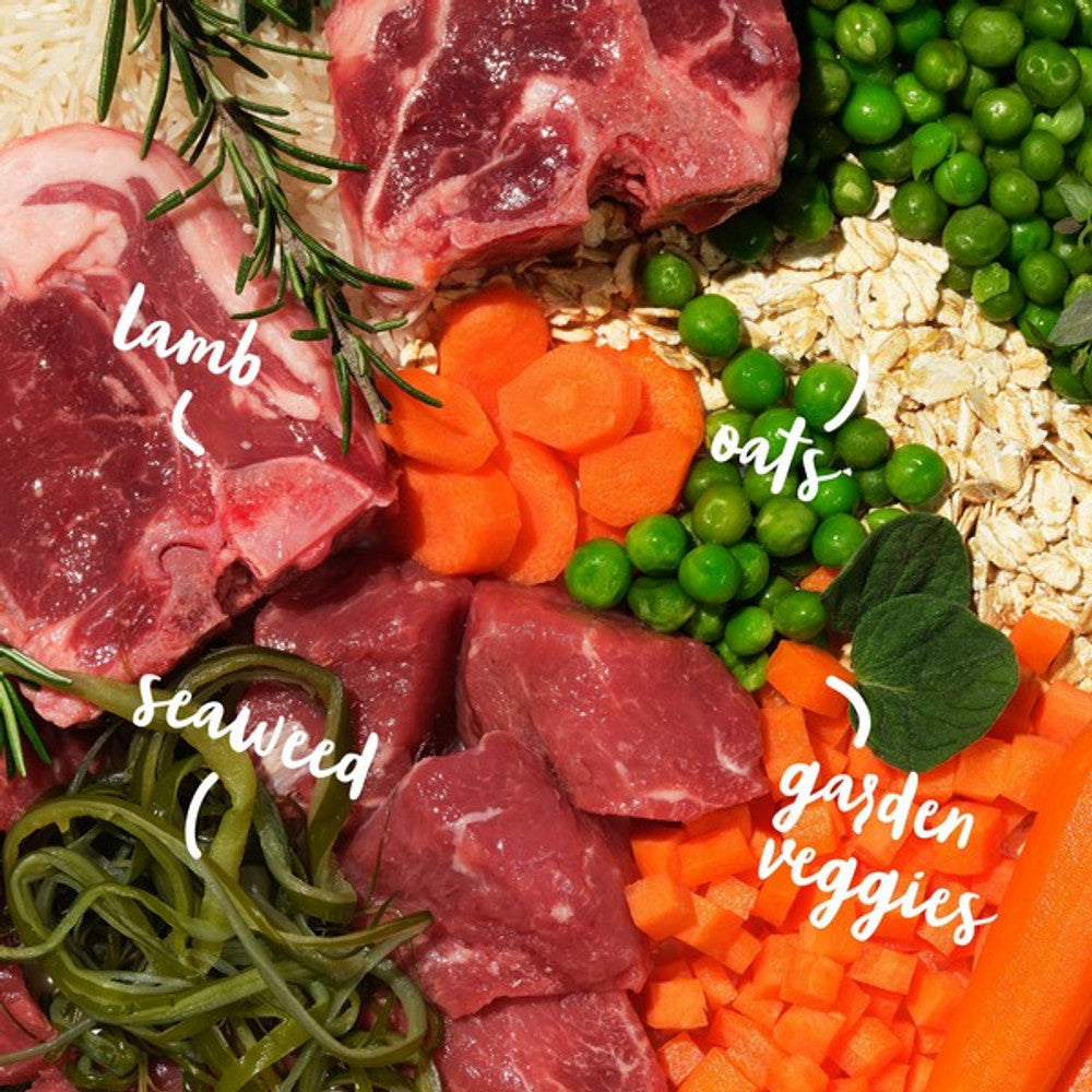 Barking Heads All Hounder Bowl Lickin' Goodness Lamb, 2KG
