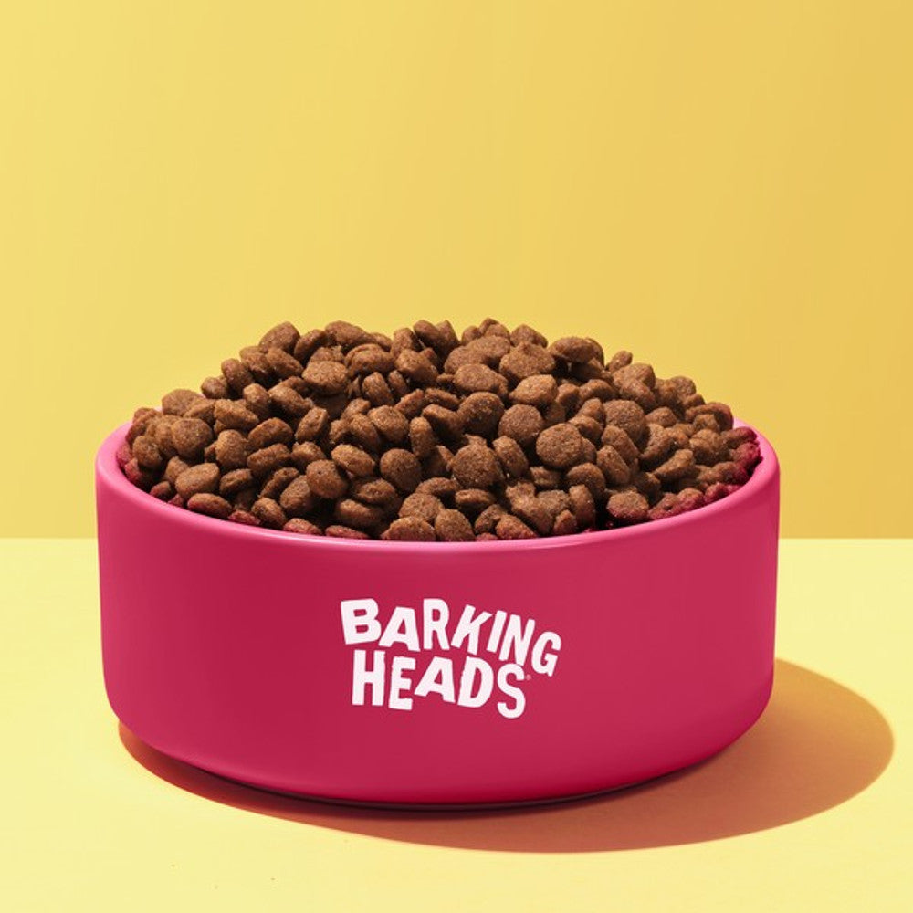 Barking Heads All Hounder Puppy Days Turkey, 6KG