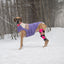 GF Pet Elasto-Fit Colour Block Puffer Purple