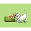 Barking Heads All Hounder Bowl Lickin' Goodness Lamb, 2KG
