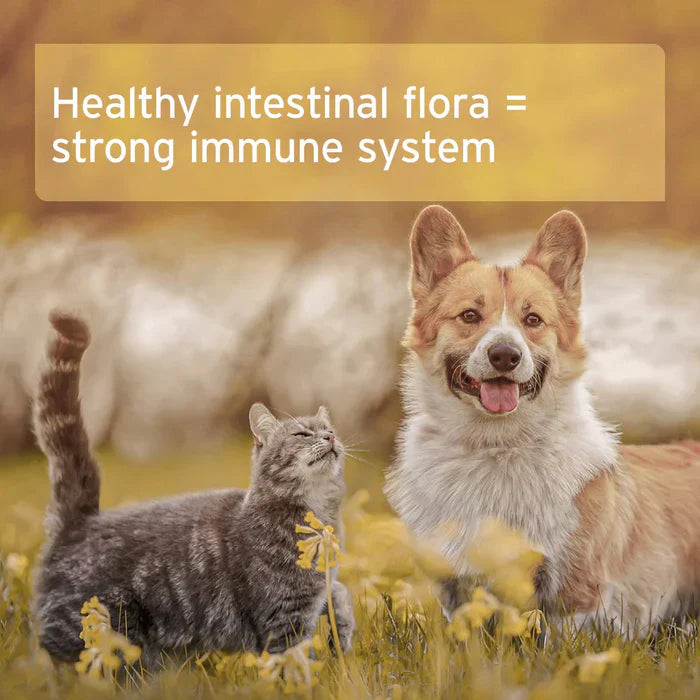 Aniforte Moor Mud 300g for Cats and Dogs