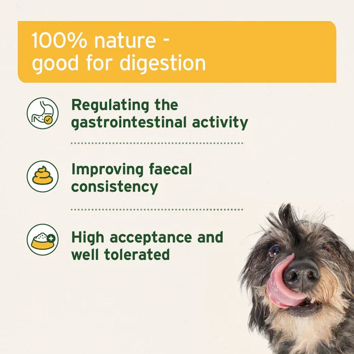 Aniforte Moor Mud 300g for Cats and Dogs