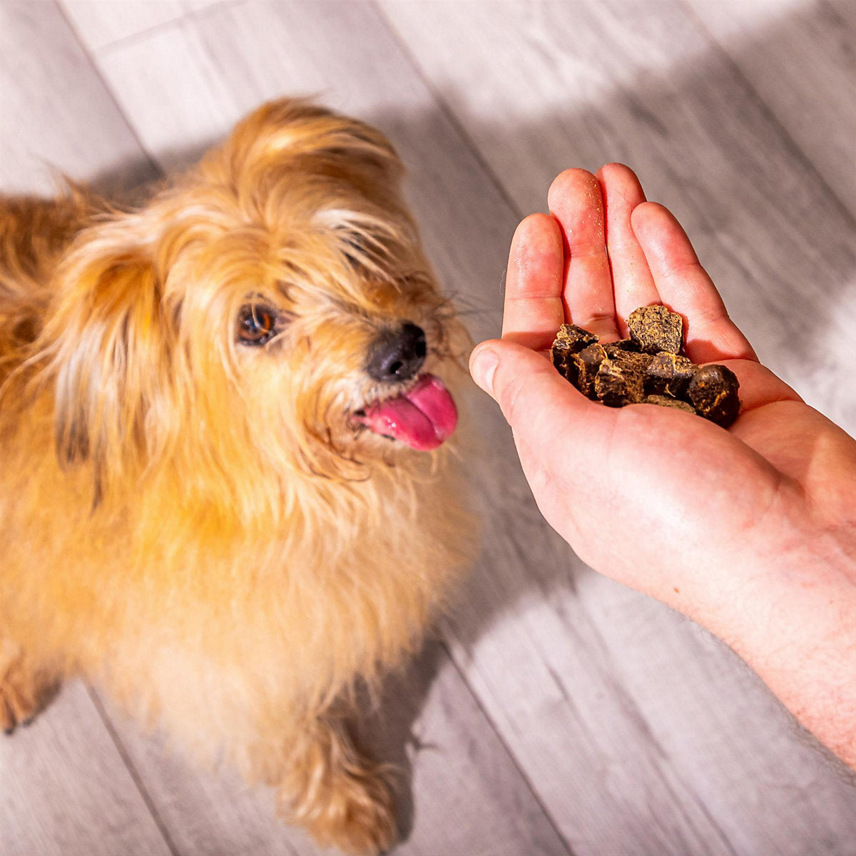 Nutriment Rabbit Gourmet Slices 200g