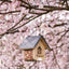 National Trust Jupiter Slate Peanut And Suet Feeder
