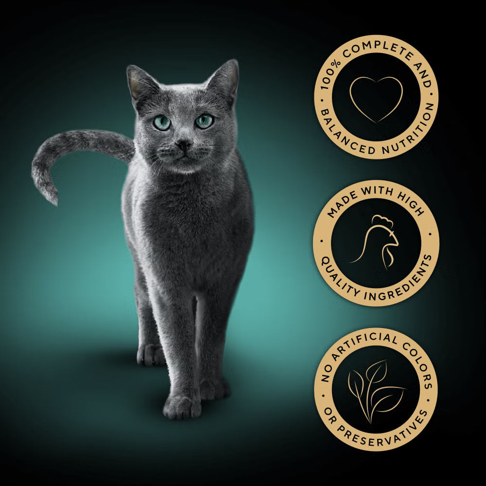 SHEBA Classics Adult Cat Food with Chicken in Terrine Tray 22x85g