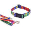 Wag 'n' Walk Fashion Collars Bright Multi Paw