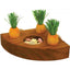Rosewood Carrot Toy 'n' Treat Holder - Ormskirk Pets