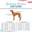 Halti Anatomy Harness Pink