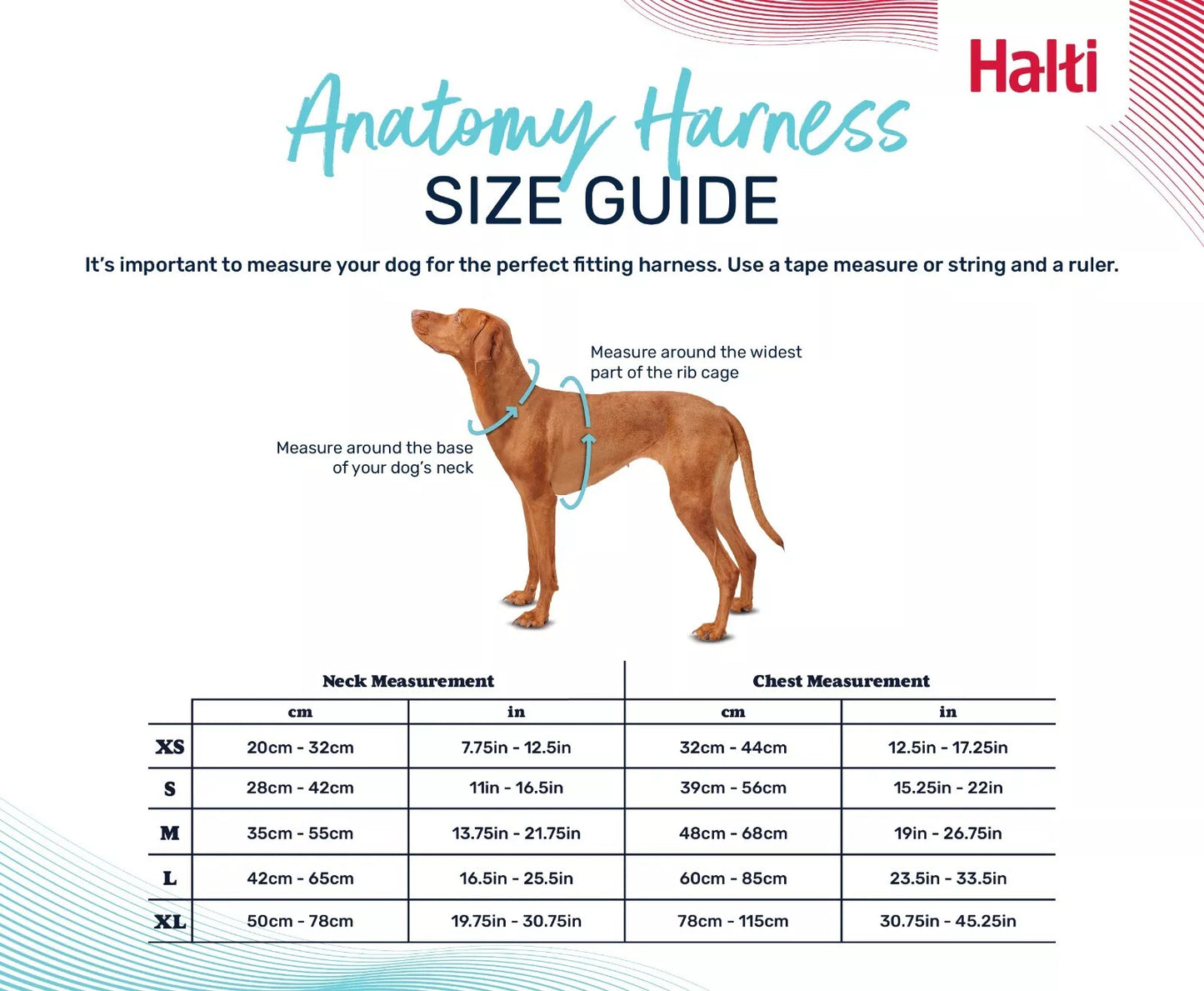Halti Anatomy Harness Pink