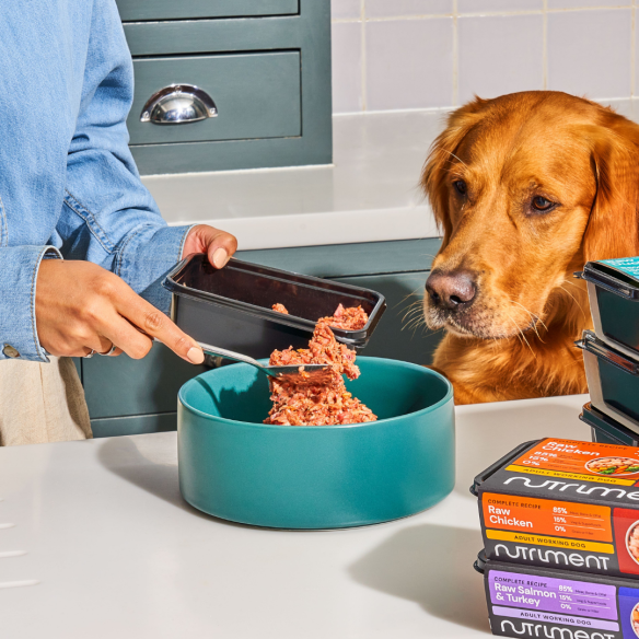 Nutriment Dog Adult Chicken Senior 500g